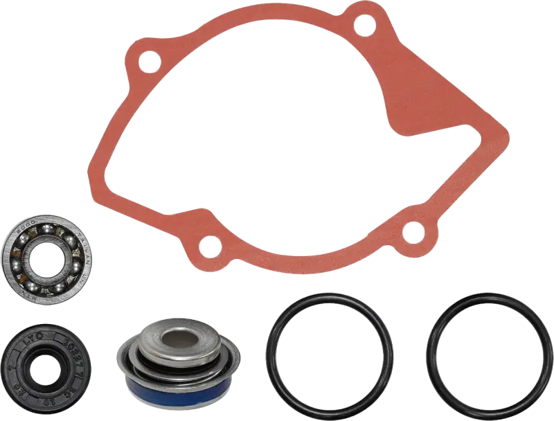 SP1 Water Pump Repair Kit S D