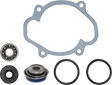 SP1 Water Pump Repair Kit S D
