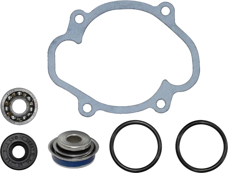 SP1 Water Pump Repair Kit S D
