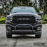 WESTIN 31-4025