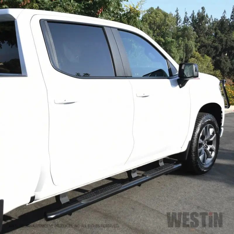 Westin 2019 Chevrolet Silverado/Sierra 1500 Crew Cab Non LD PRO TRAXX 4 Oval Nerf Step Bars - Black 