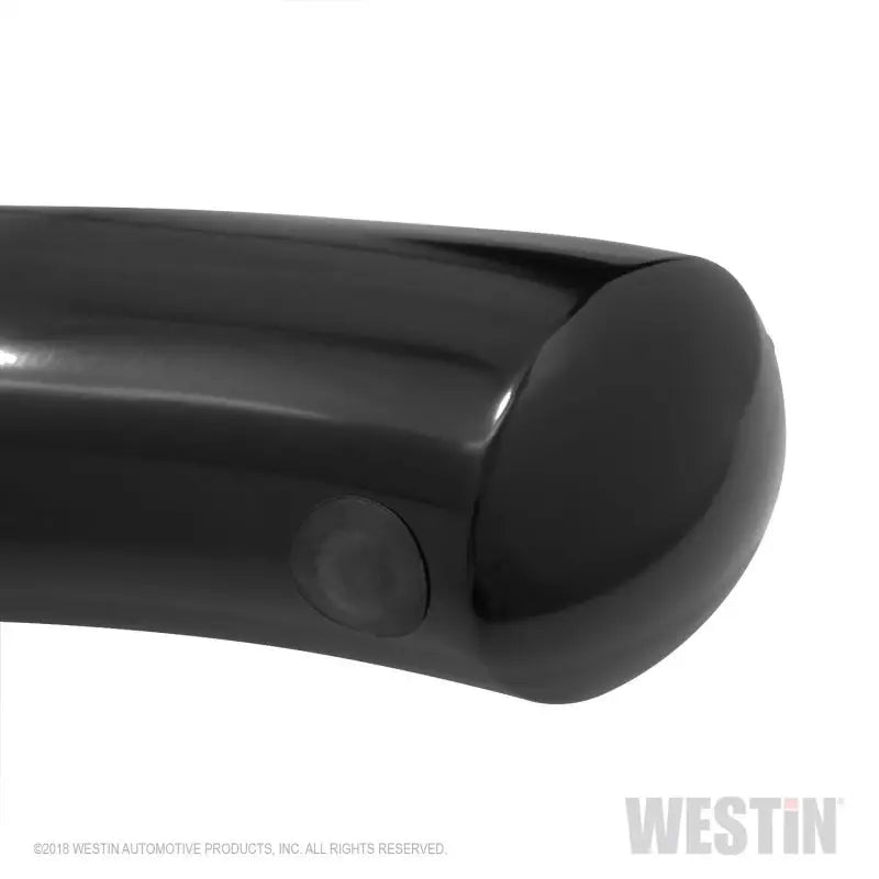 Westin 2019 Ram 1500 Crew Cab (Excl. 1500 Classic) PRO TRAXX 4 Oval Nerf Step Bars - SS 
