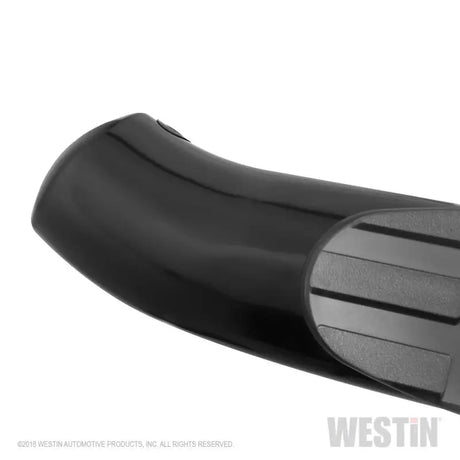 Westin 2019 Ram 1500 Crew Cab (Excl. 1500 Classic) PRO TRAXX 4 Oval Nerf Step Bars - SS 