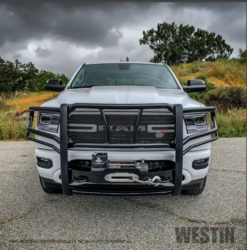 57-93975 Grille Guard