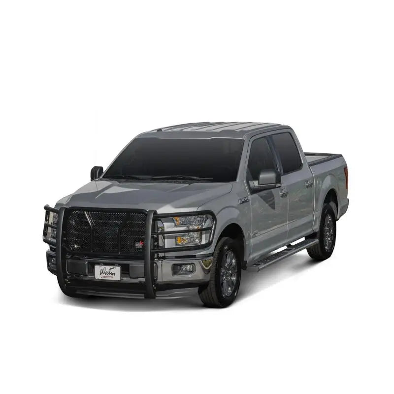 WESTIN 22-6020 6' OVAL SB POL 75'