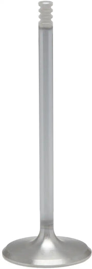 White Diamond Int. Valve 1.630 O/S M8 `17 24 Non Vvt - KPMI
