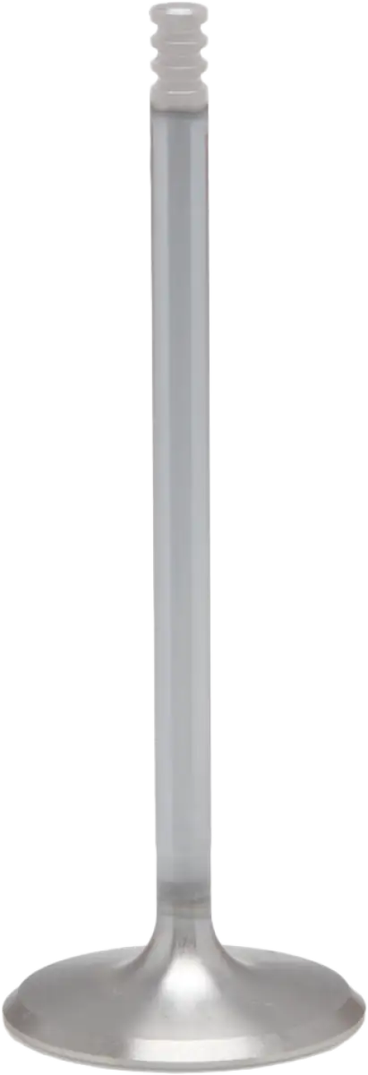 White Diamond Int. Valve 1.614 O/S M8 `17 24 Non Vvt - KPMI