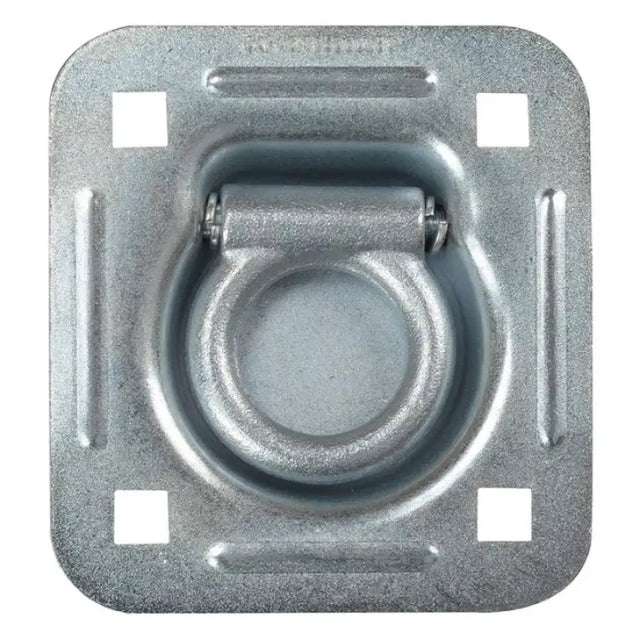 809 D-Ring