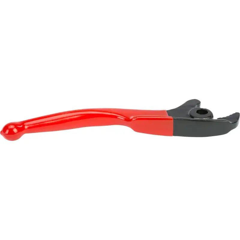 WP99-69573 Brake Lever Silver 