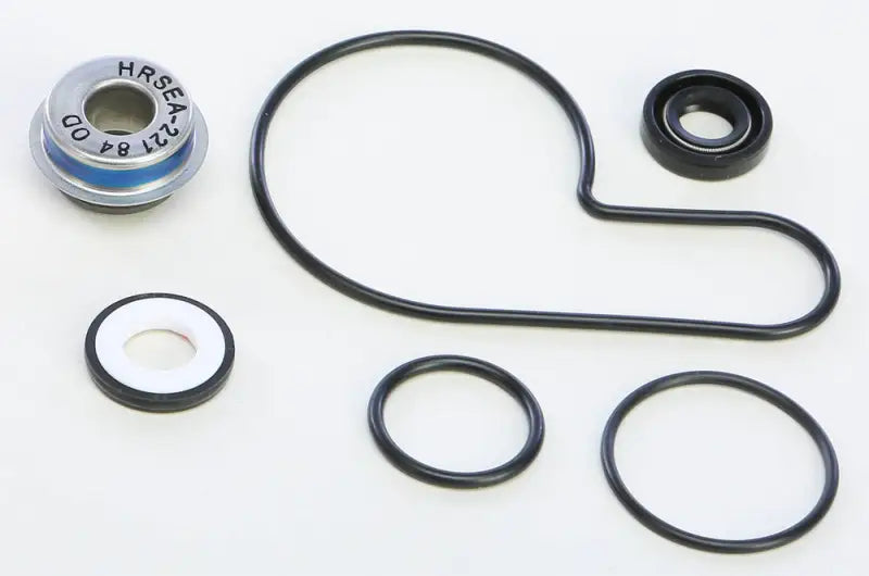 WPK0054 Water Pump Kit 