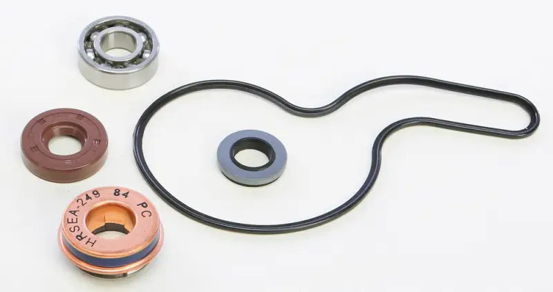WPK0055 Water Pump Kit 