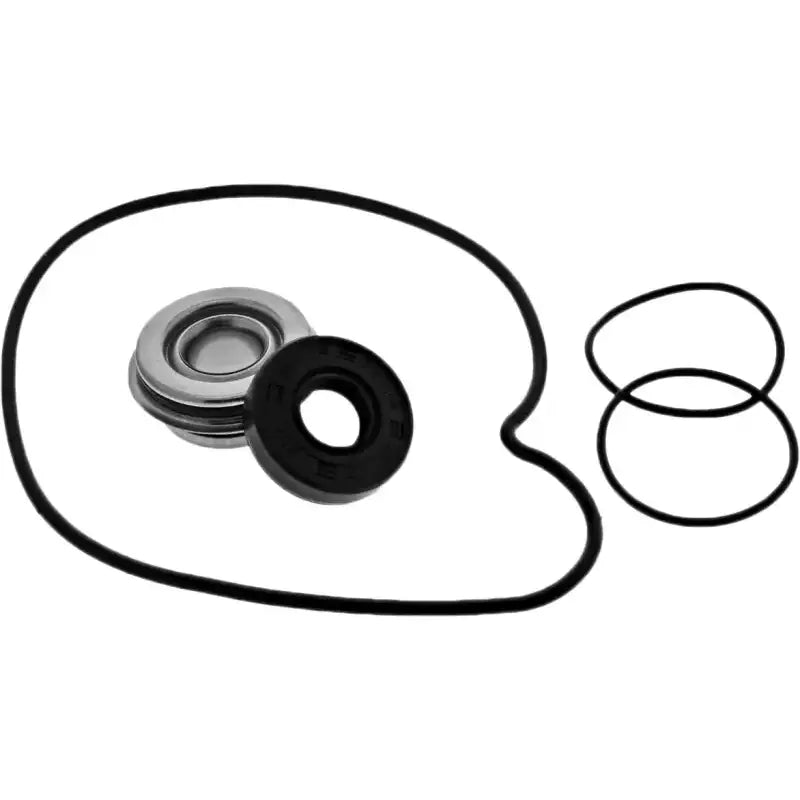 WPK0069 Water Pump Kit Pol 