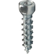 WST-0830-100 BoSS Twist Screws 30mm 100/Pk - Boss