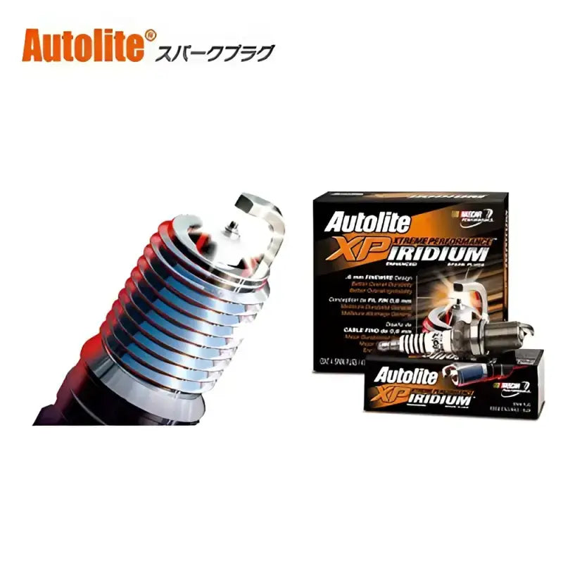 XP605 Spark Plug