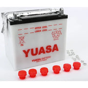 YUAM2224D Battery 12n24 3 Bmw Conventional 