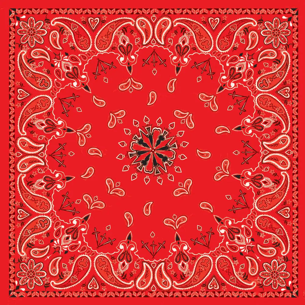 ZAN Bandanna