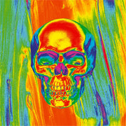 ZAN Poly Micromesh Thermal Flydanna Headgear ZM595 - Thrml Skull