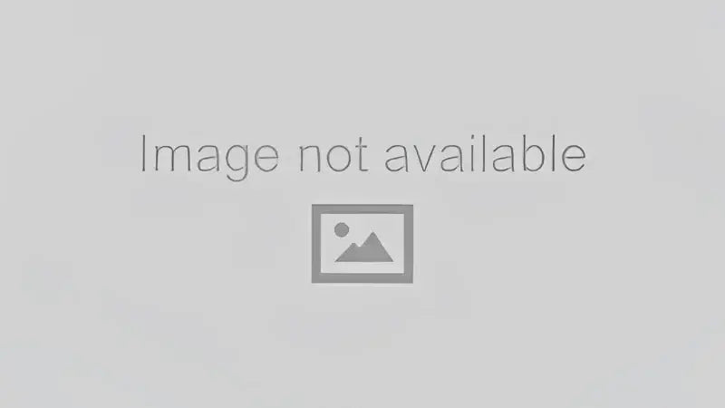 Zone Offroad 17-20 Ford F-250 Single Stabilizer - Only - ZON7302 - Suspension