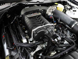 Roush 421823