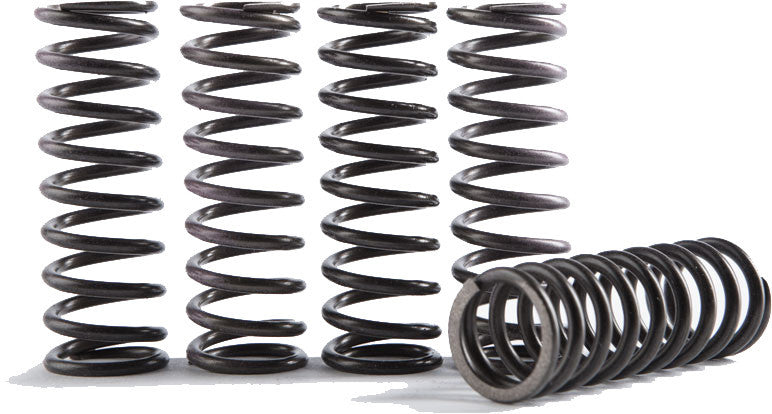 CS189-6-0613 High Tempurature Spring Kit