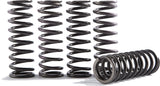 CS189-6-0613 High Tempurature Spring Kit