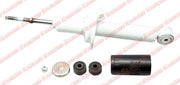 RS55766 Shock Absorber